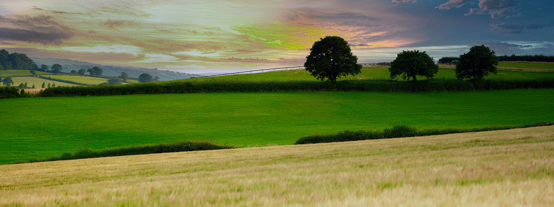 Header image