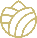 Springfield Logo